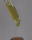 HEMP + HIBISCUS FACE OIL