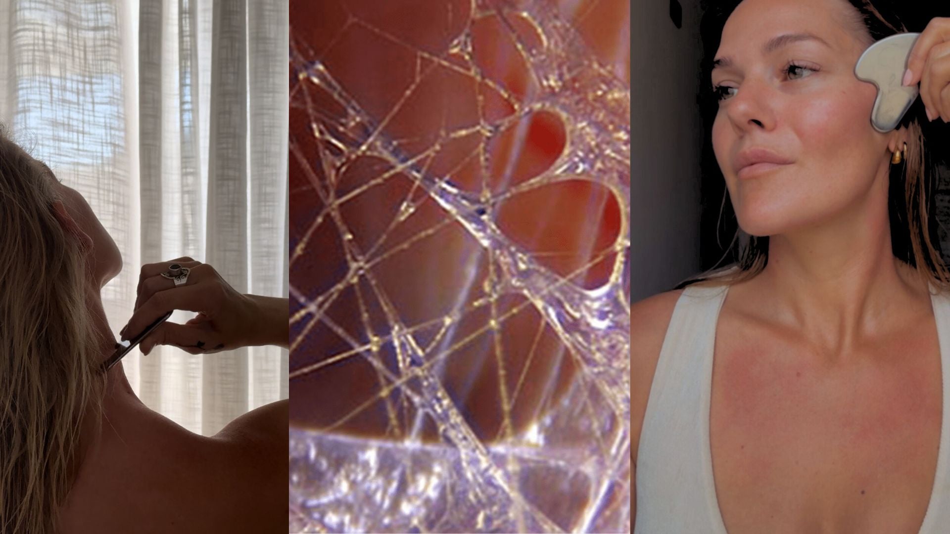 Fascia: The Hidden Organ of Radiance