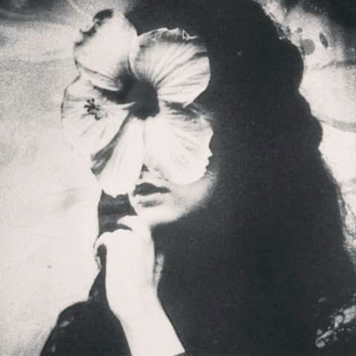 FACIAL SCULPTING SET